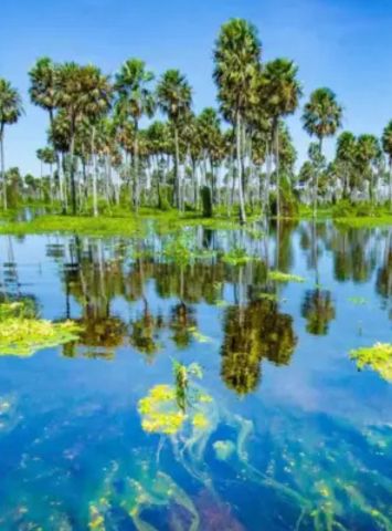 Bañado la Estrella, Formosa-Top Spots Argentina